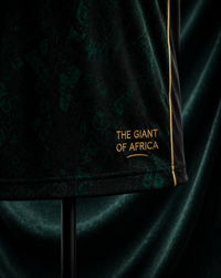 Nigeria Naija Legacy Jersey